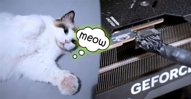 一只猫及时发现RTX 4090显卡烧毁冒烟：救了主人一命！