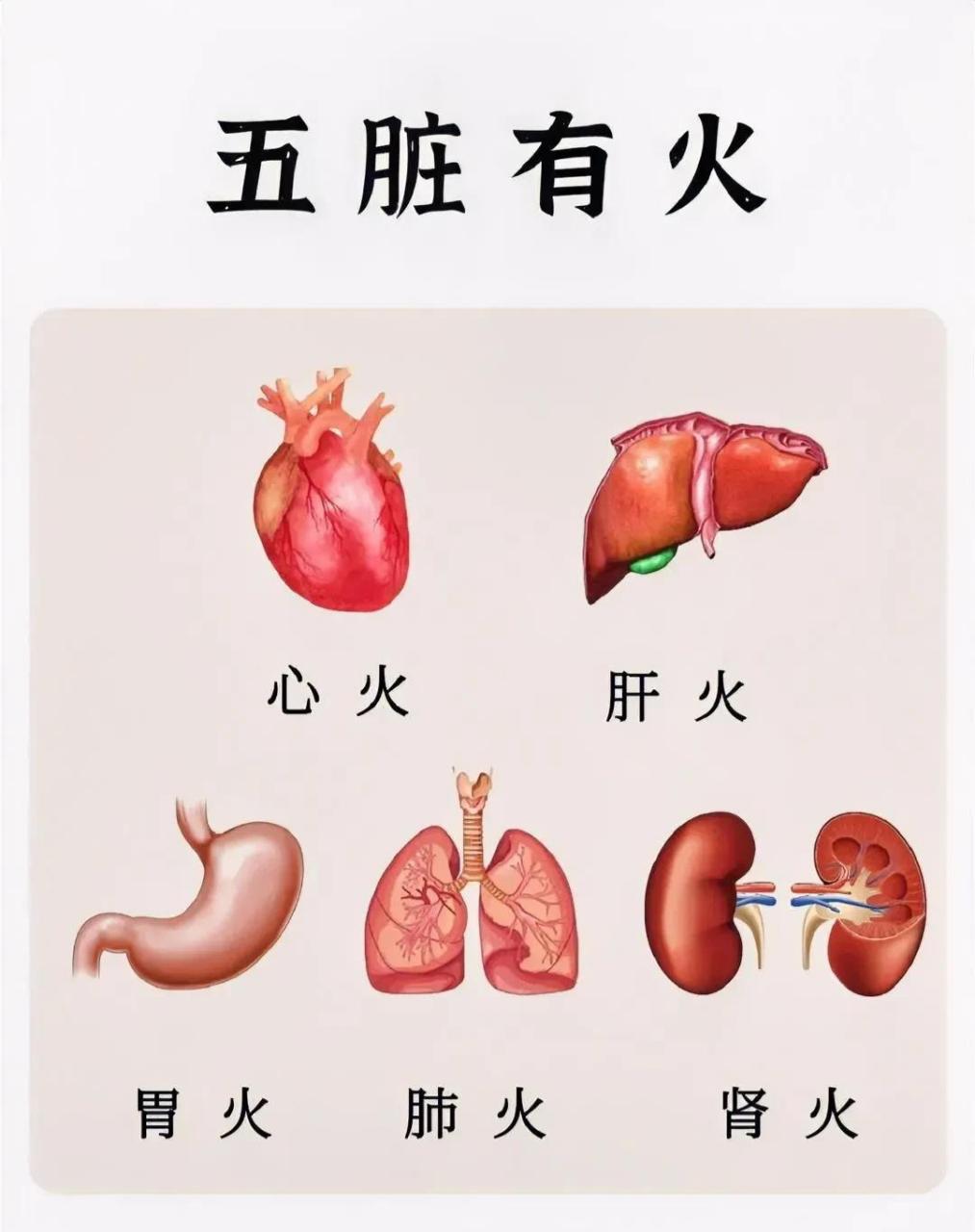 五脏有火,外现于面 1,心火大——舌尖疼 2,肺火大——鼻干燥 3,肝火大