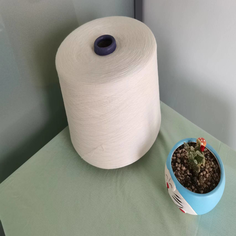 新型环保再生纱线——再生涤纶