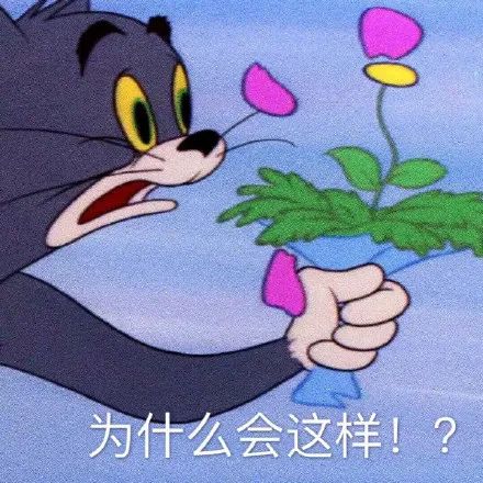 潮圖表情包:貓和老鼠,誰還不是小天使了