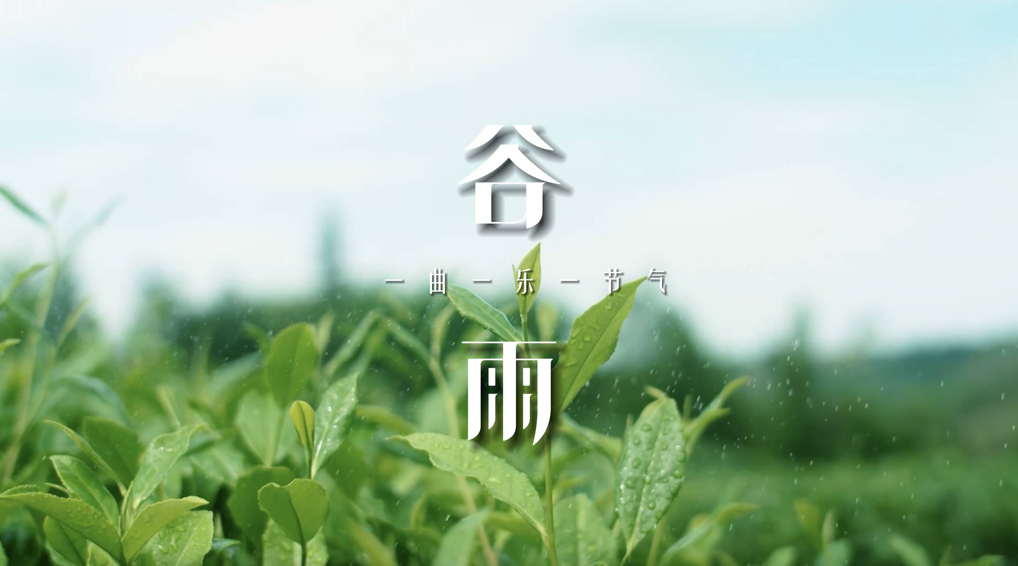 一曲一乐一节气·谷雨|琵琶曲里《声声慢》大珠小珠落玉盘