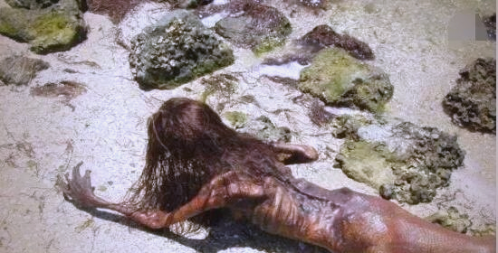 科学家揭秘美人鱼化石:与传说不同的凶狠面貌