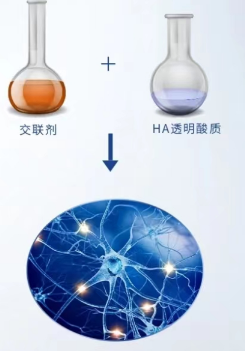 玻尿酸交聯劑到底是什麼?打玻尿酸有什麼副作用?