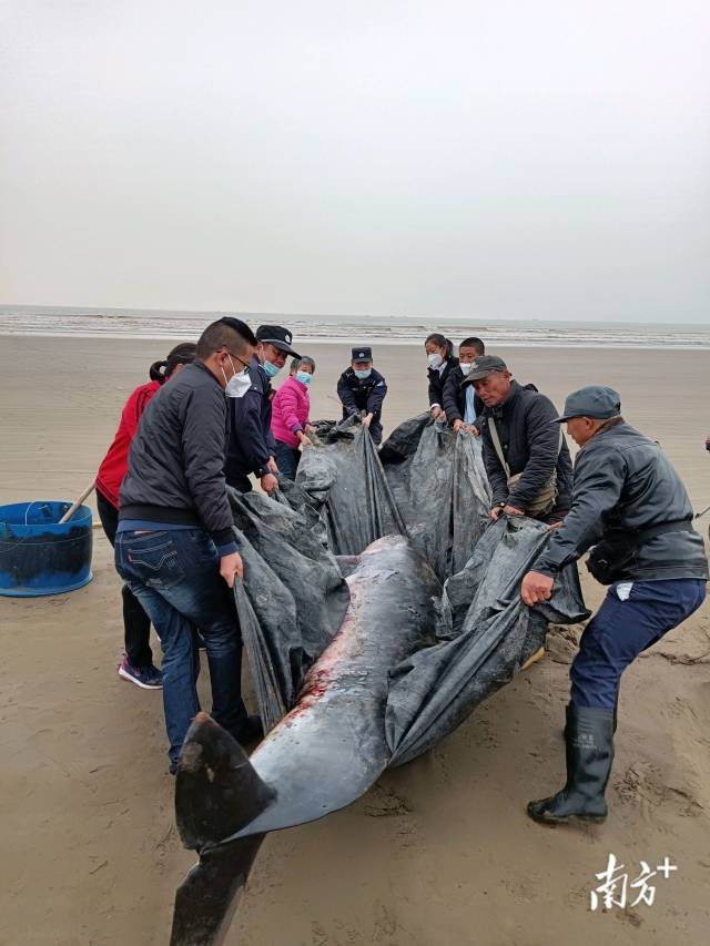 珠海金沙滩别墅事件图片