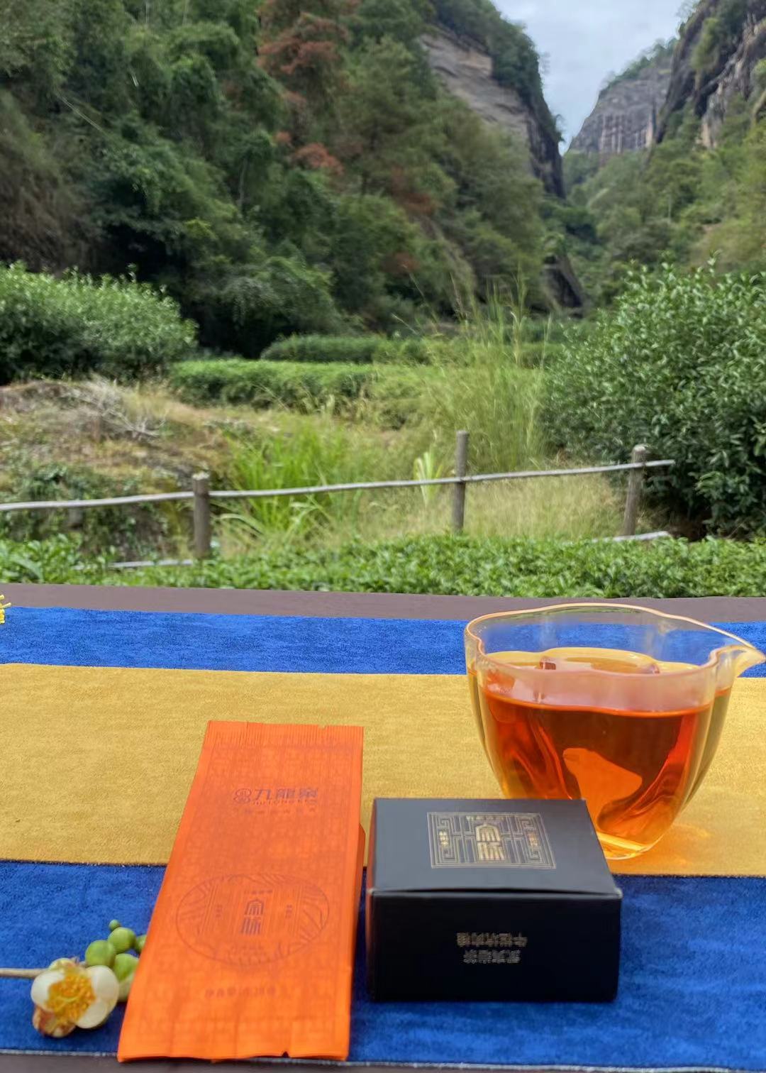 武夷九龙窠岩茶知识半天妖什么滋味