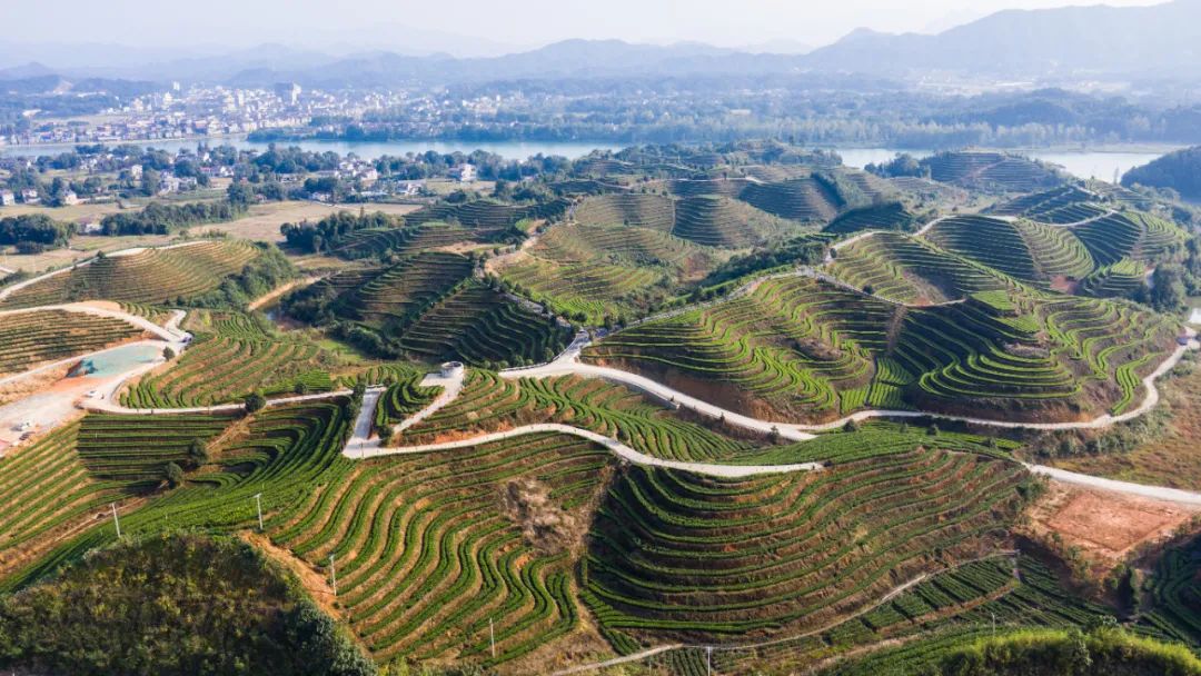 走进桃江县武潭镇莲花坪村