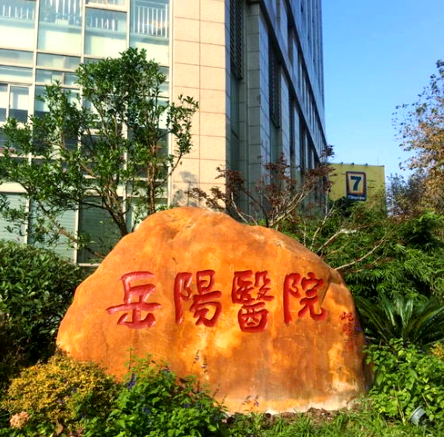 上海岳阳医院针灸科:从历史到现代的发展与成就