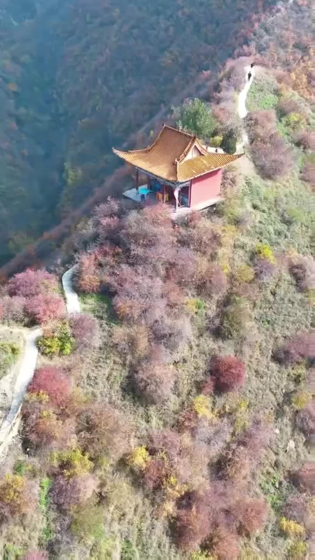 秋染永靖抱龙山