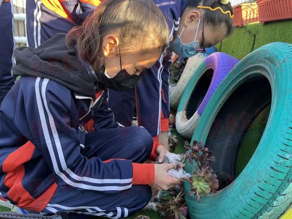 营造绿色文明 "植"因你加入 青岛榉园学校开展绿植领养活动