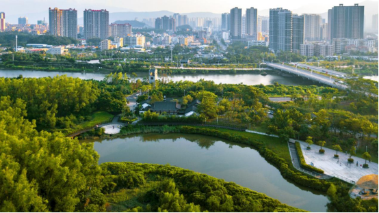 山海惠州④|大亚湾红树林城市湿地公园:城市绿肺,尘中净土