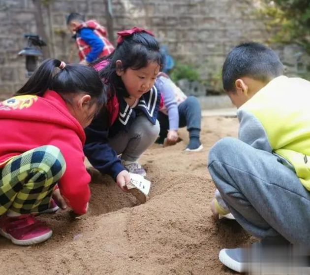 在小小的花園裡面挖呀挖呀挖是什麼歌《花園種花》完整版歌詞介紹