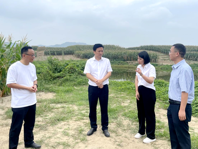 张全杰督导调研嘉陵区成都大运会保障相关工作