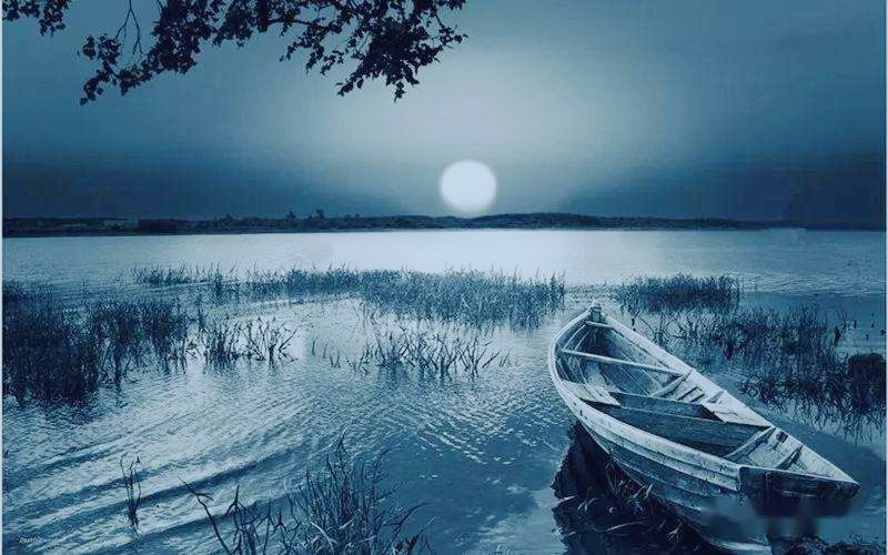 在银色的月光下