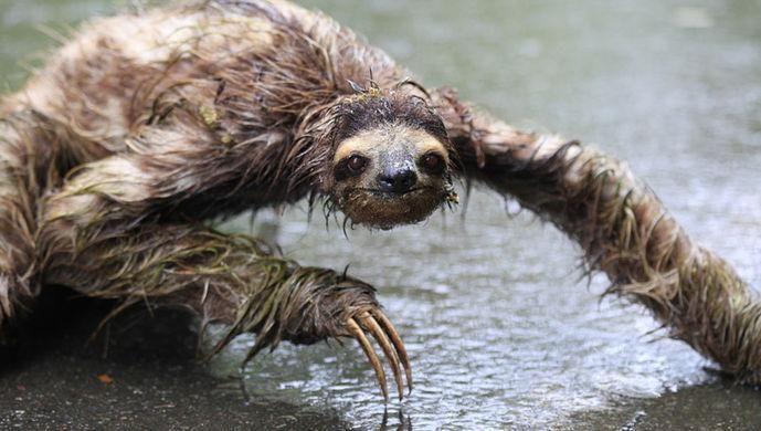 揭秘!广东水库现神秘水鬼:杀人魔镜背后的真相揭示