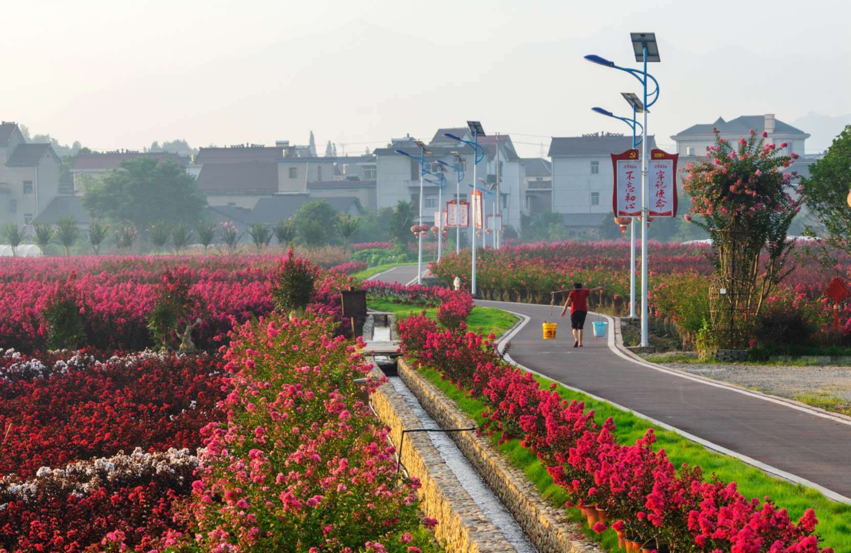 常山徐村:一场家门口的狂欢将拉动千万元消费