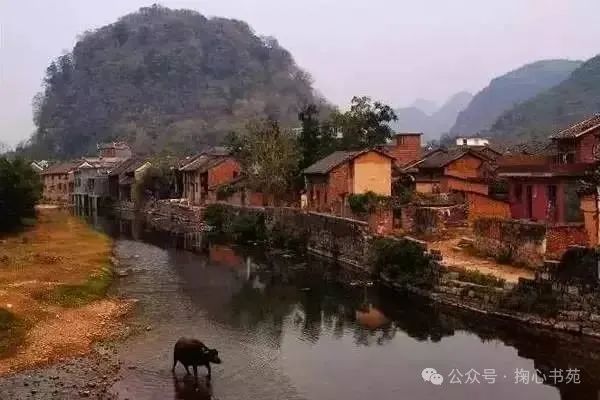 掬心书院,唐韵书院2024研修班诗第6讲作业点评