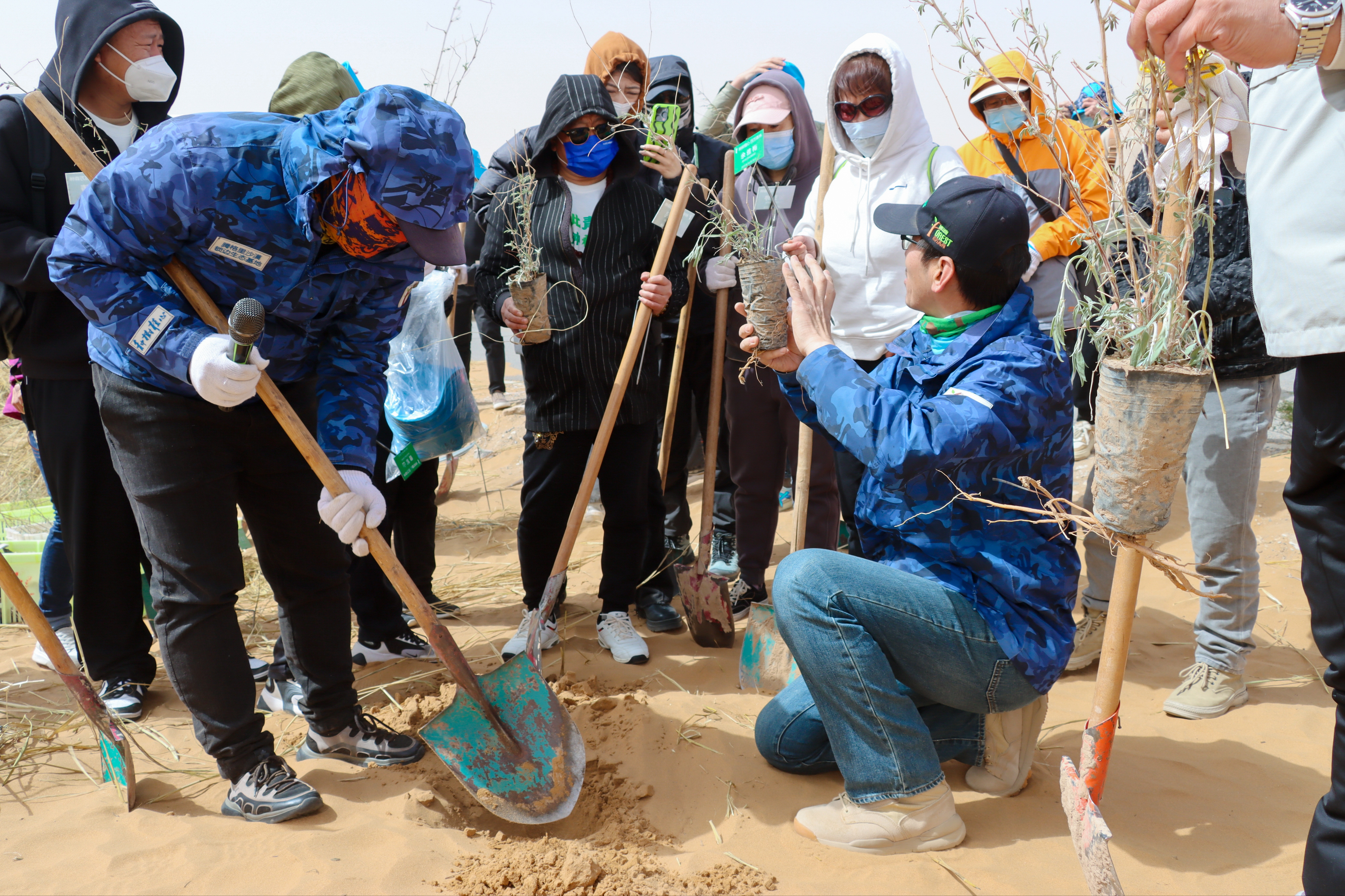 沙漠种树需要几步?"沙漠锁边人"这么做|公益面孔