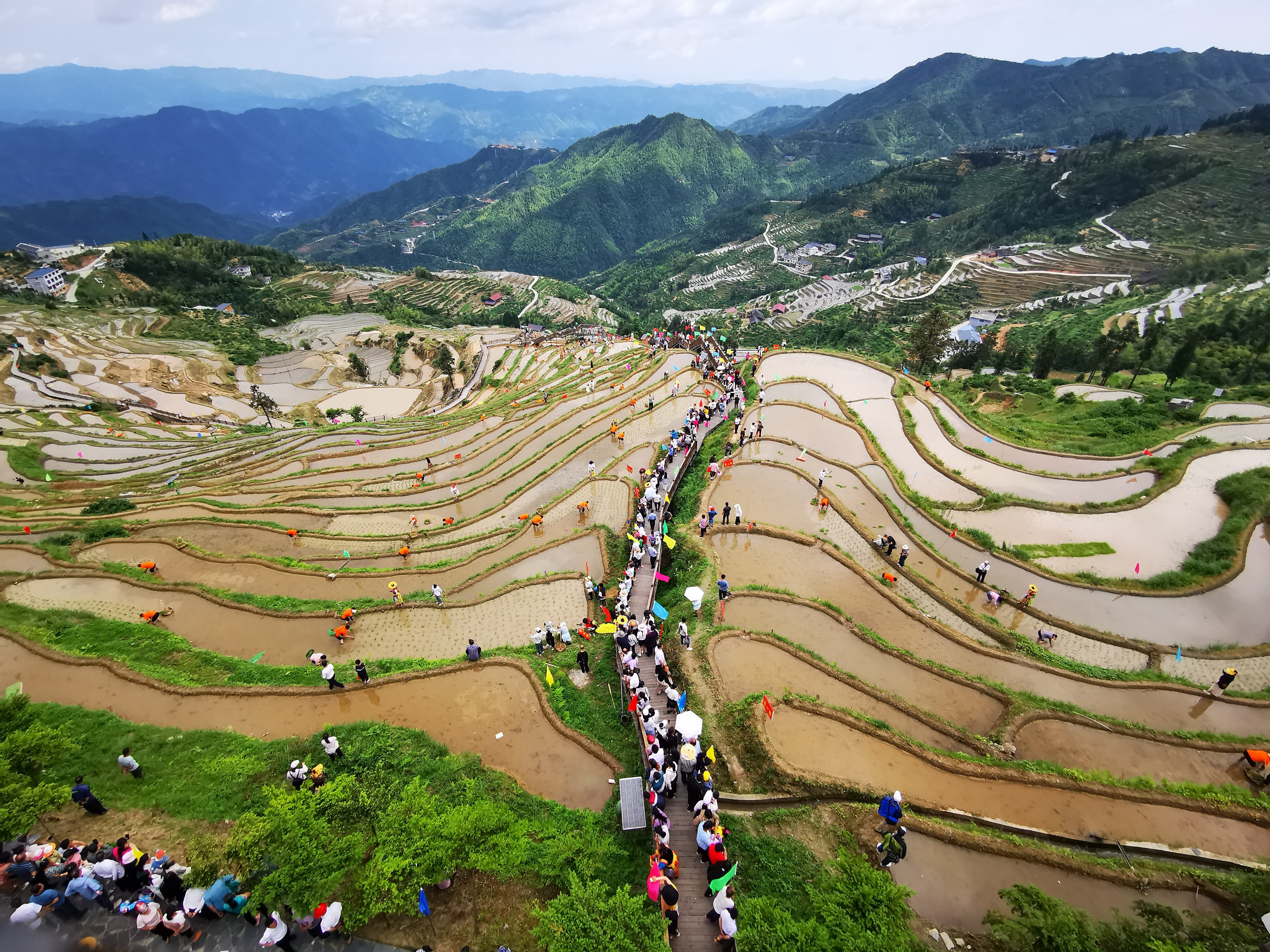 山背花瑶梯田最佳时间图片