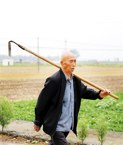 致敬! 勤劳的父亲