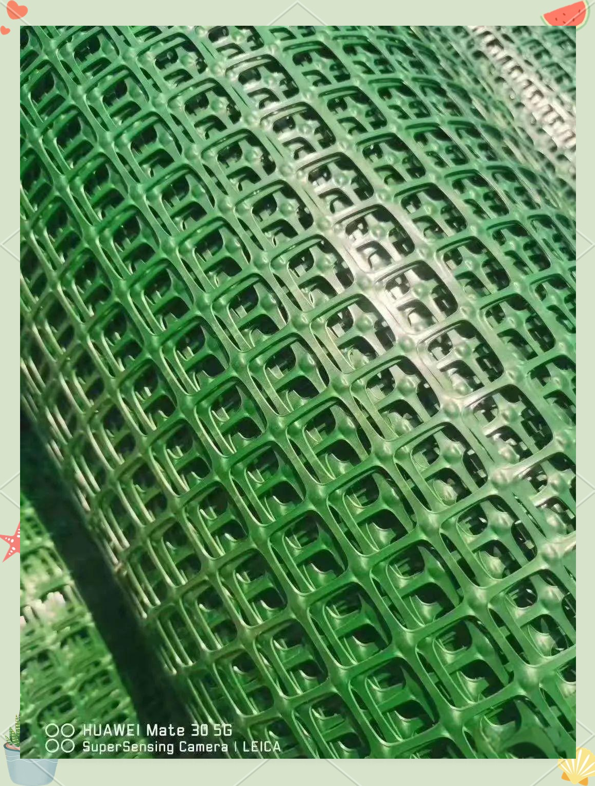 土工格栅:绿色养殖塑料方格网的多功能应用