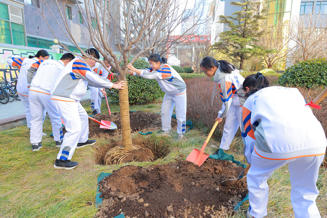 同植英才树,共筑栋梁梦!八一学校校园再添新绿
