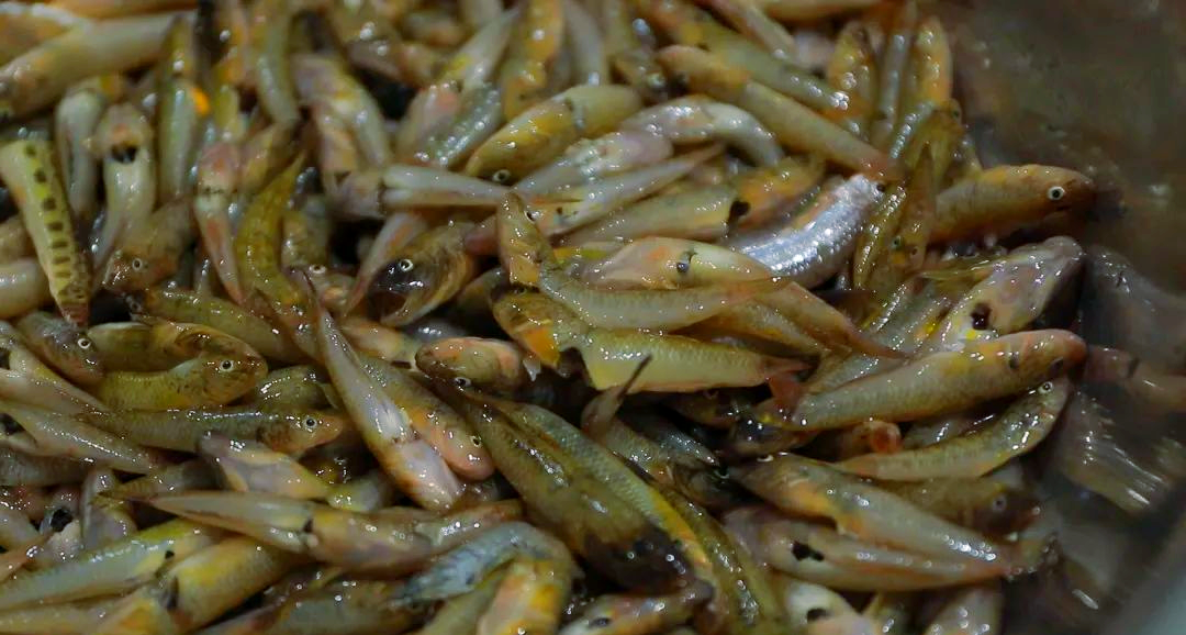 永泰特色美食:梧桐镇的椒盐小溪鱼