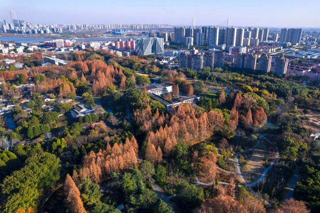 上海植物园冬季景色图片