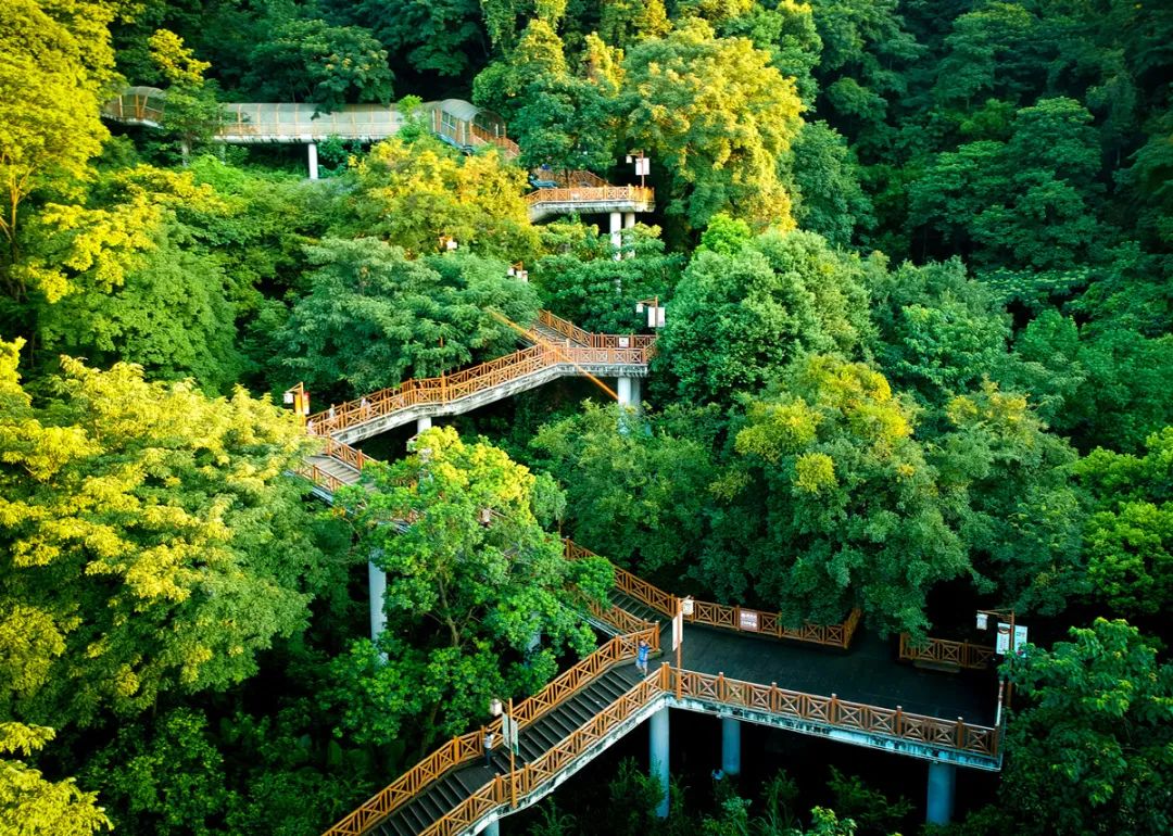 清新福建福见龙岩