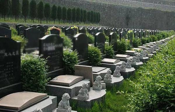 哈尔滨墓园图片