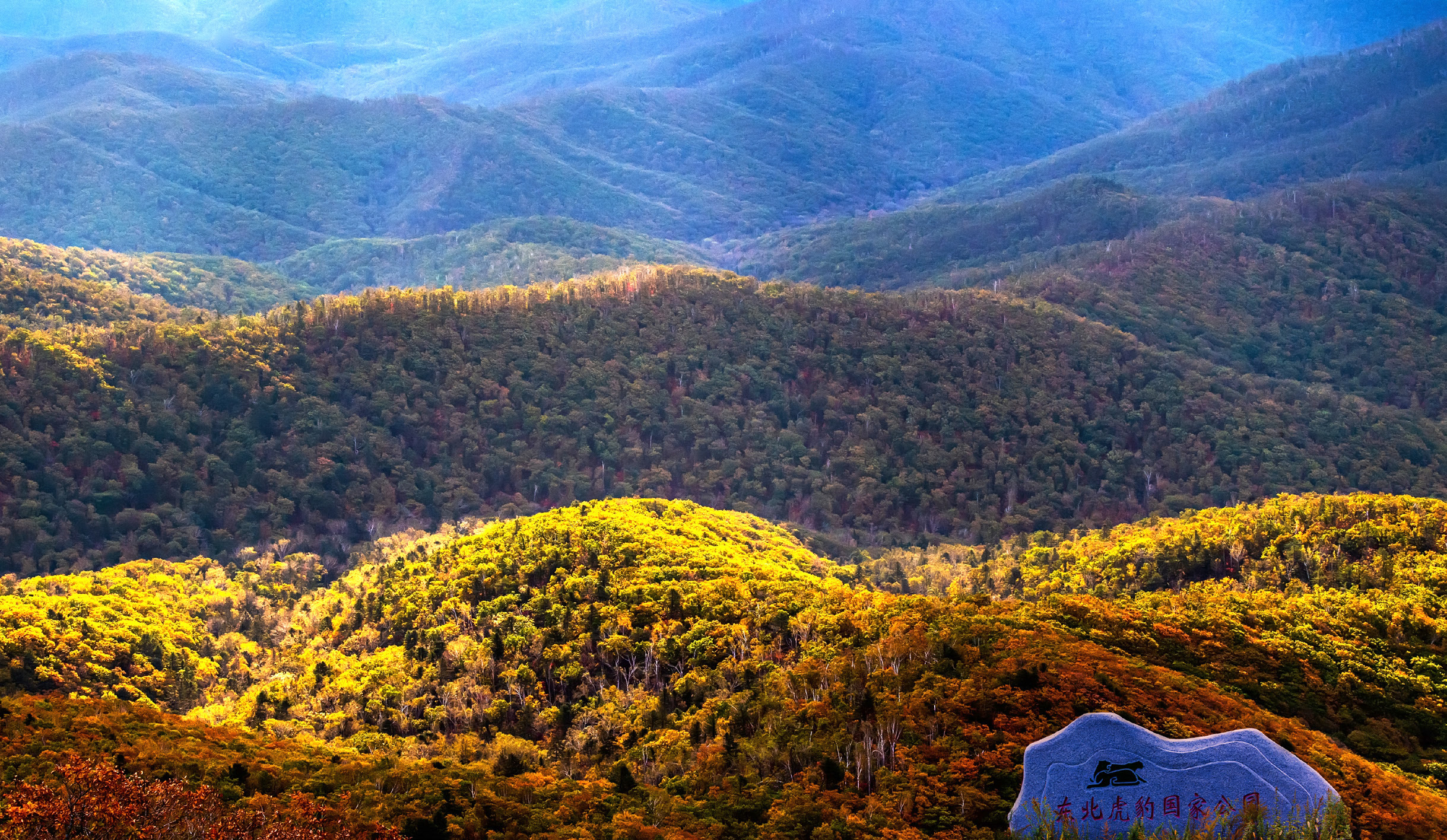 虎啸山林