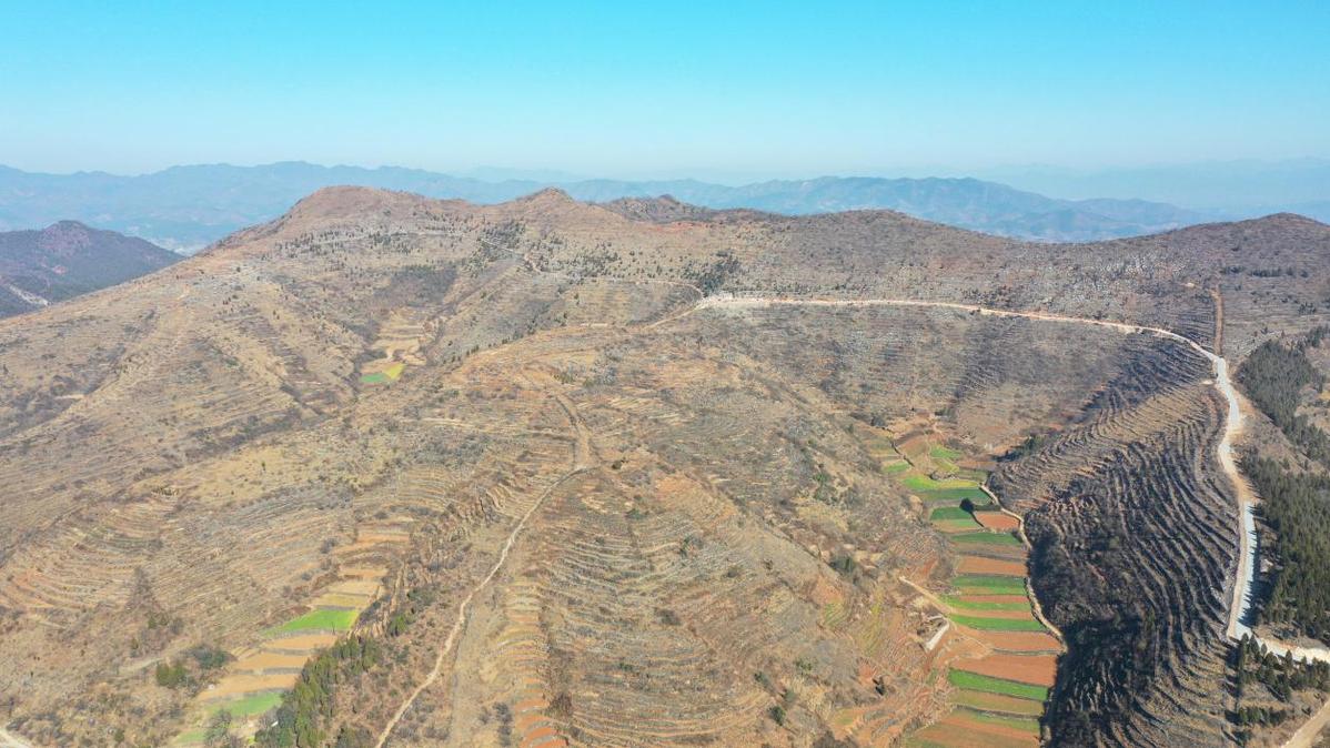 昔日乱石山,今朝致富园,河南淅川唱响生态增绿歌