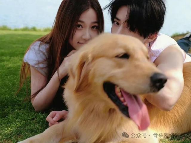 CP “多发”，抱团取暖？