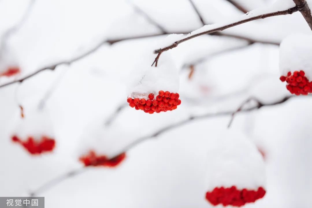 辽宁之声 24节气|大寒