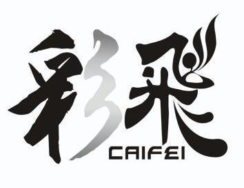 飞彩集团的成长经验与教训