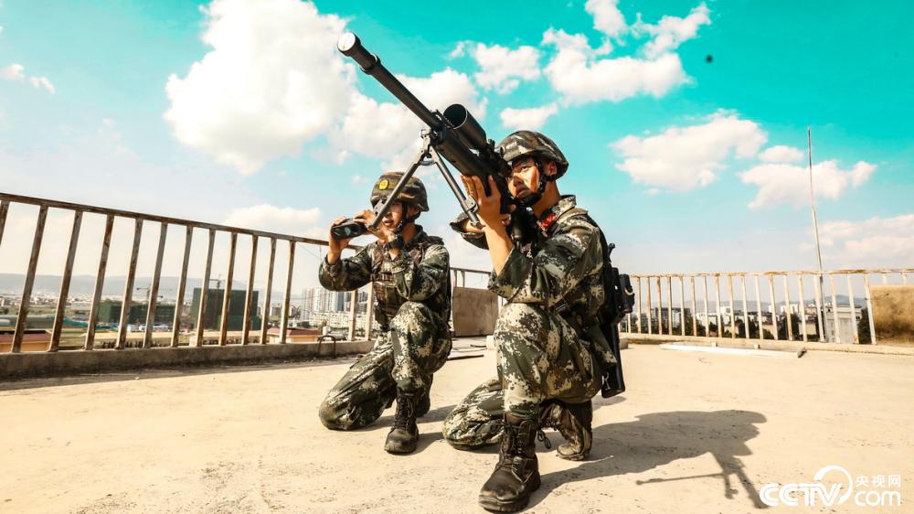夏季大练兵!特战队员开展实战化军事训练