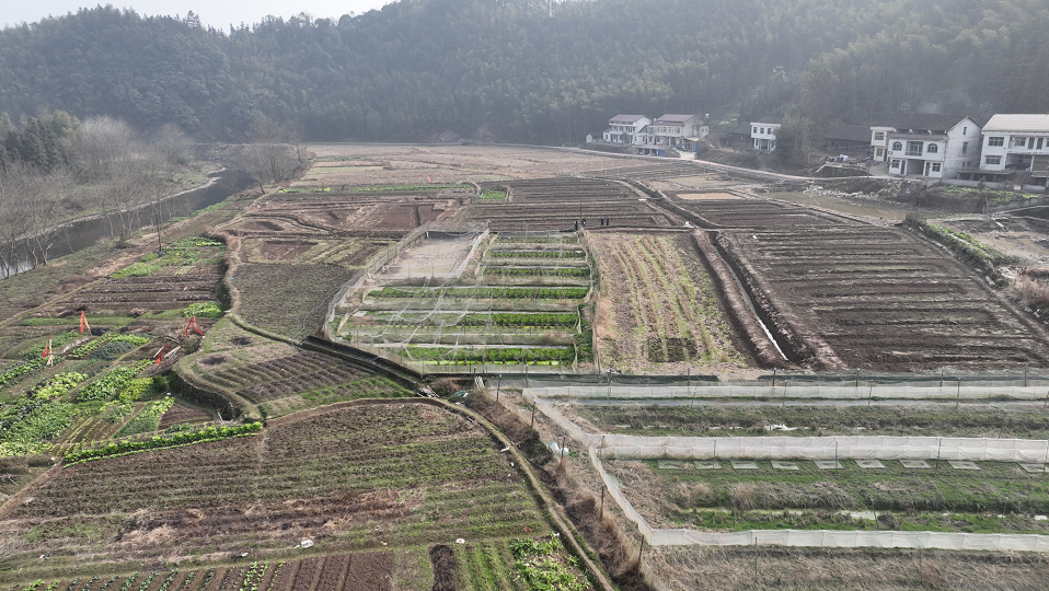 乡村振兴看益阳丨竹田村村里来了乡村振兴工作队助力产业兴旺