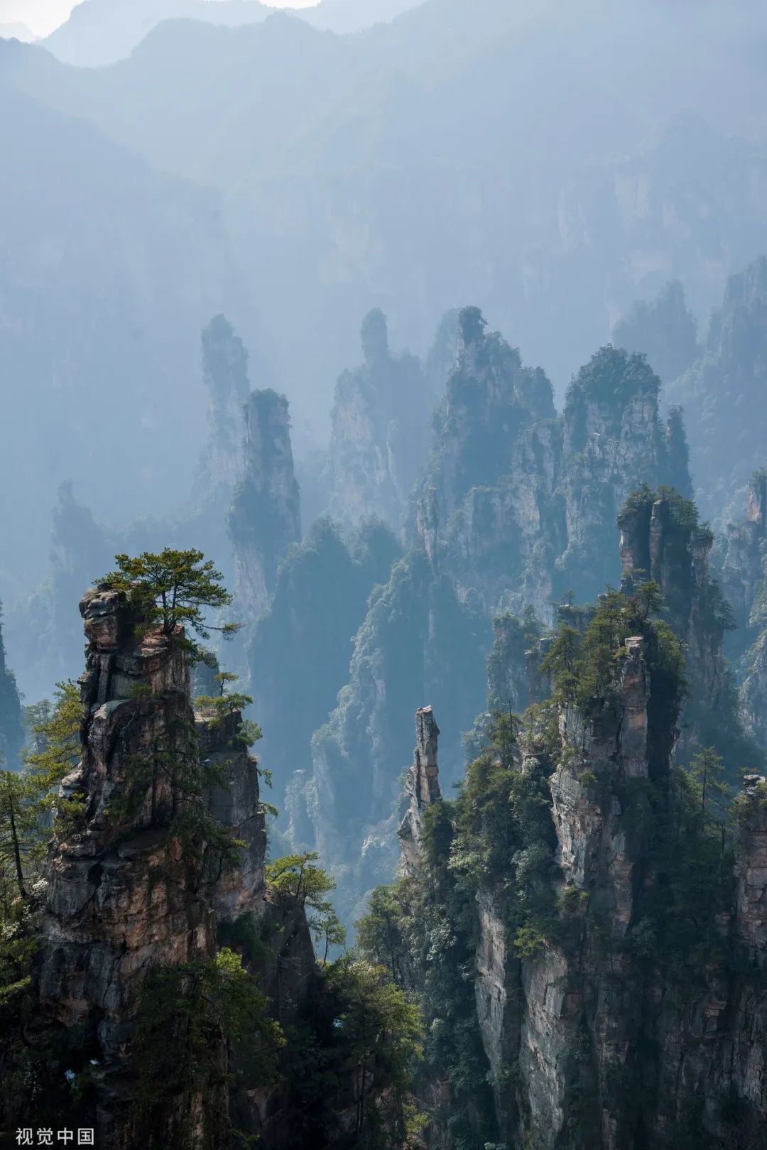 鉴定网络热门神奇景观