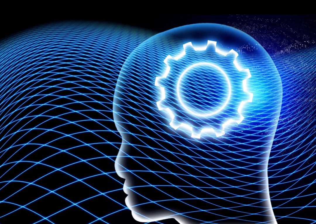 别错过孩子变聪明的机会 这所学校用5年时间探寻大脑的秘密