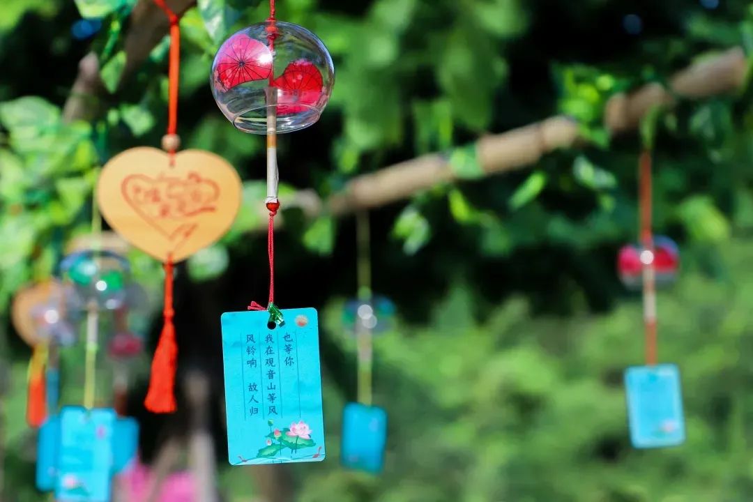 "红"福相依!这条惊艳时光的观音山风铃许愿长廊,藏着的是诗和远方!
