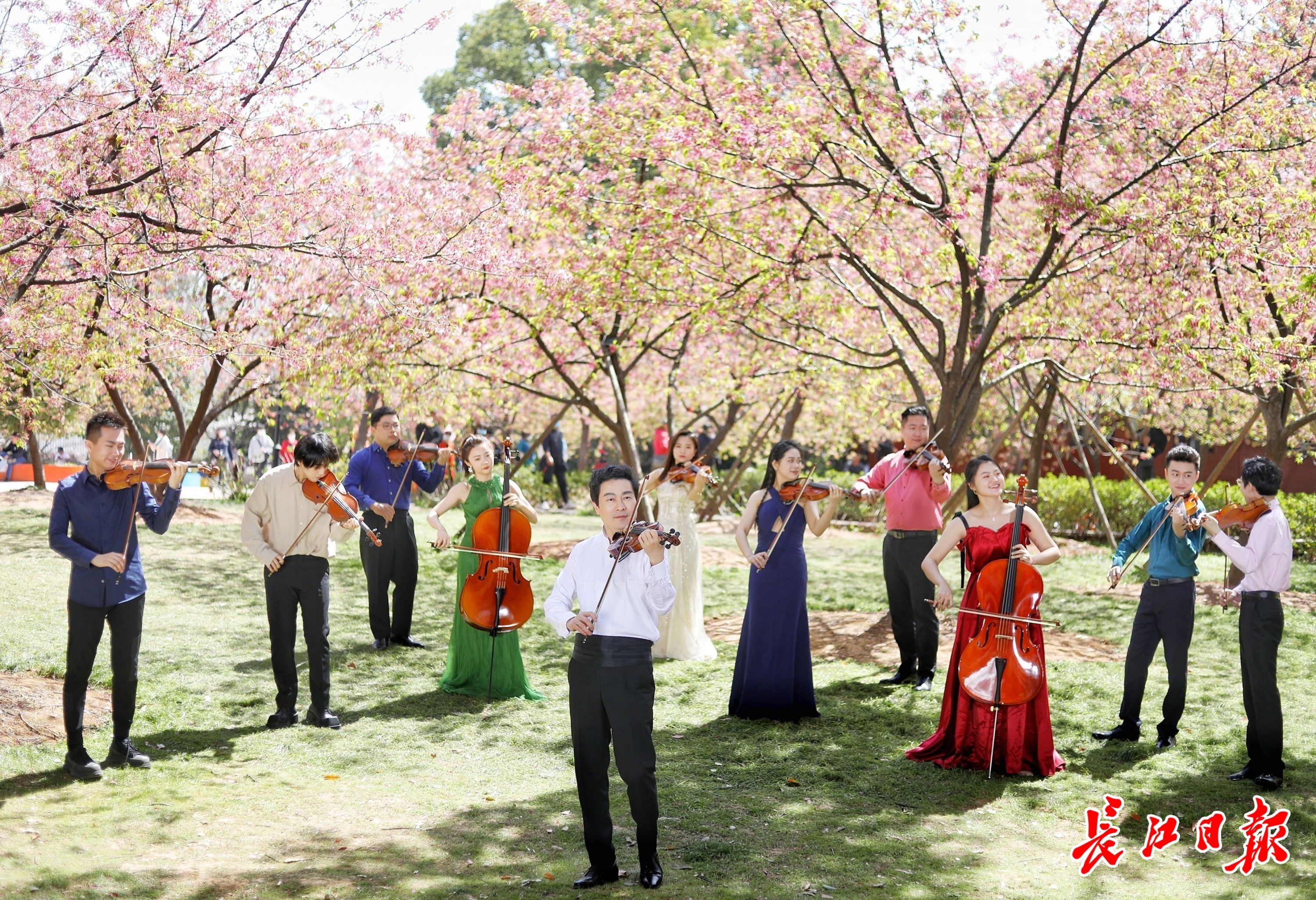 独家专访著名小提琴家吕思清:用世界名曲将东湖的美传递给所有人