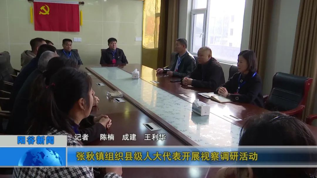 阳谷县张秋镇组织县级人大代表开展视察调研活动