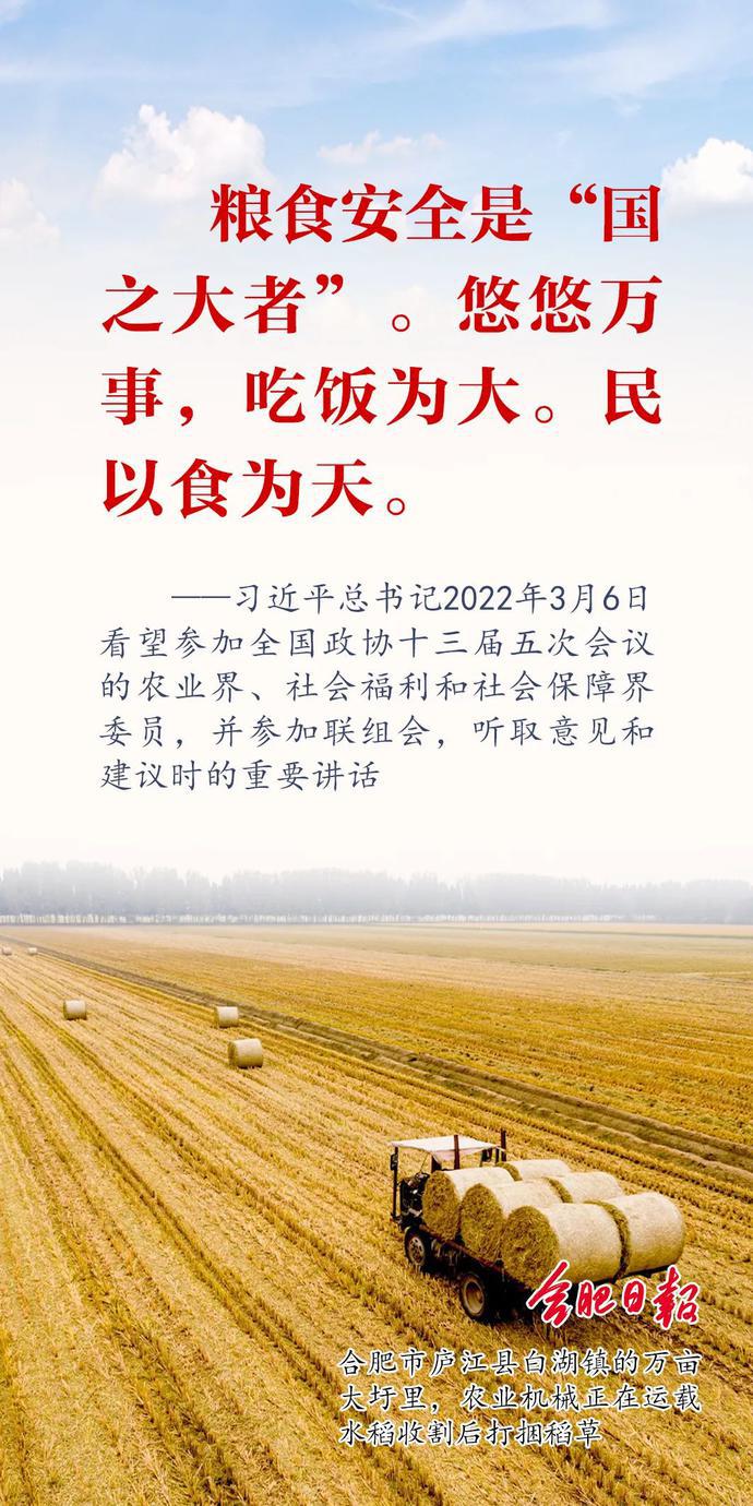 早安|粮食安全是"国之大者"