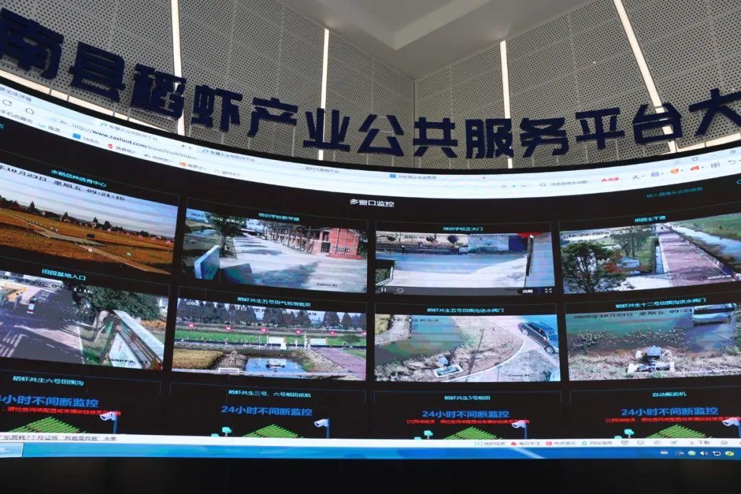 彭波为南县稻虾产业发展"把脉问诊"