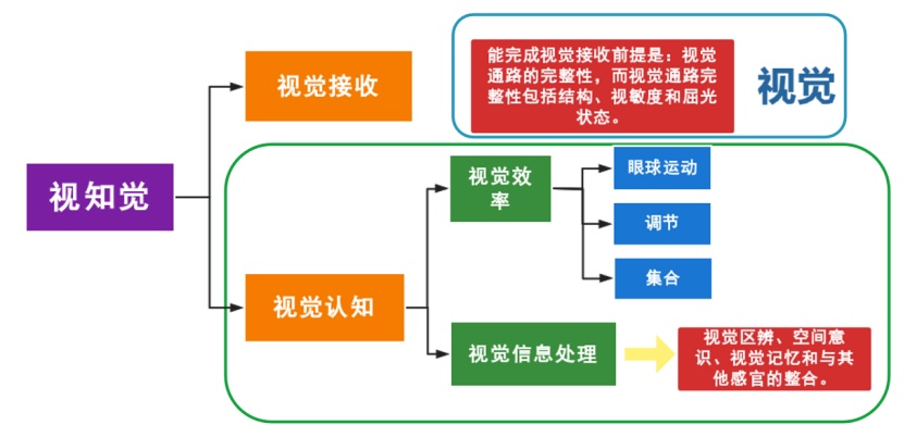 語言認知|孩子學習困難可能是視知覺障礙惹的禍