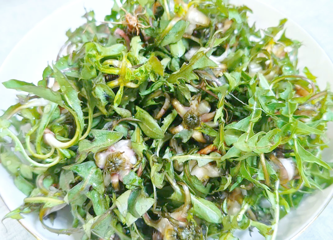 本溪春天山野菜全攻略:尝鲜与健康兼备