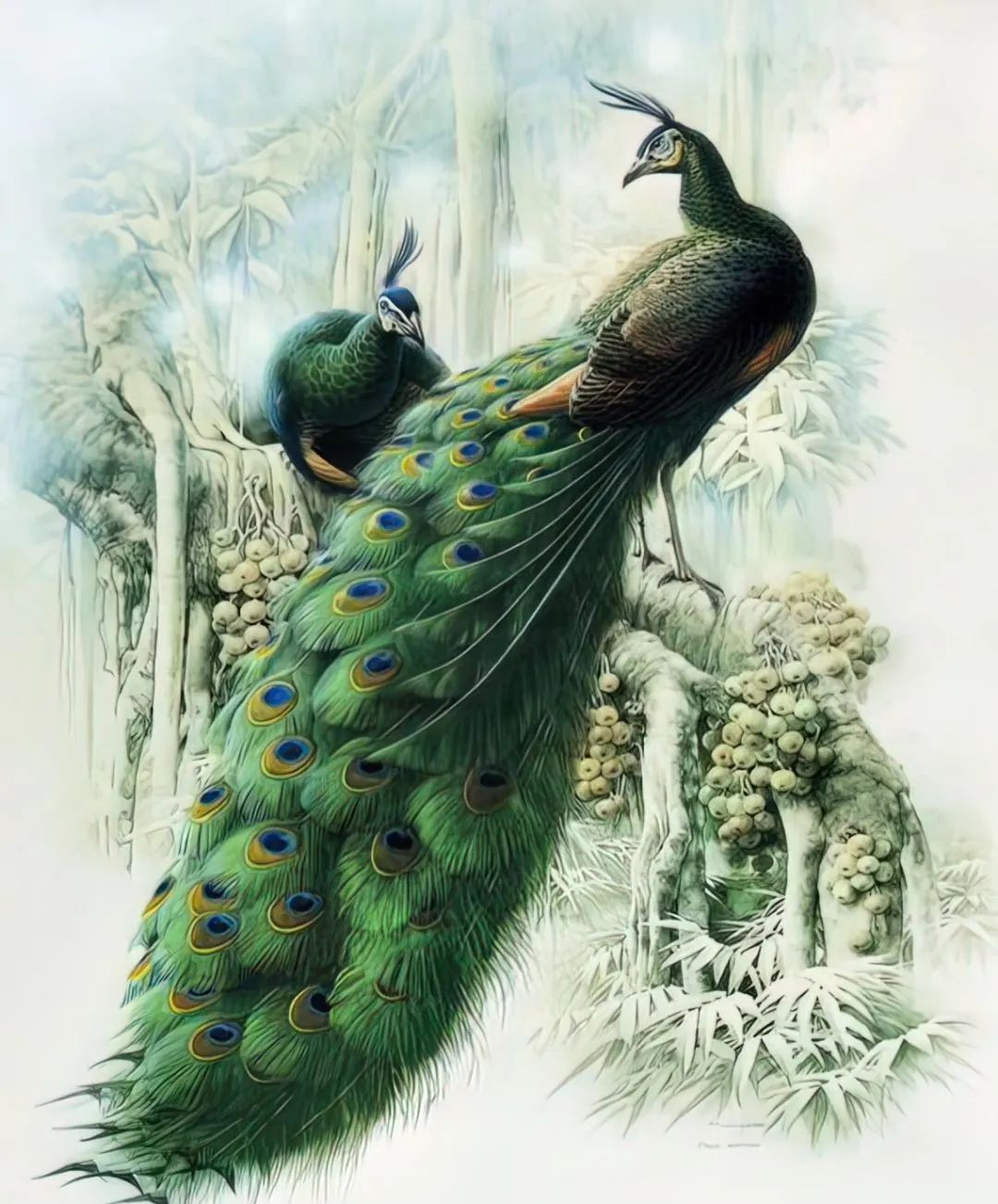 惊艳无比!这幅百鸟图,美得令人心颤!