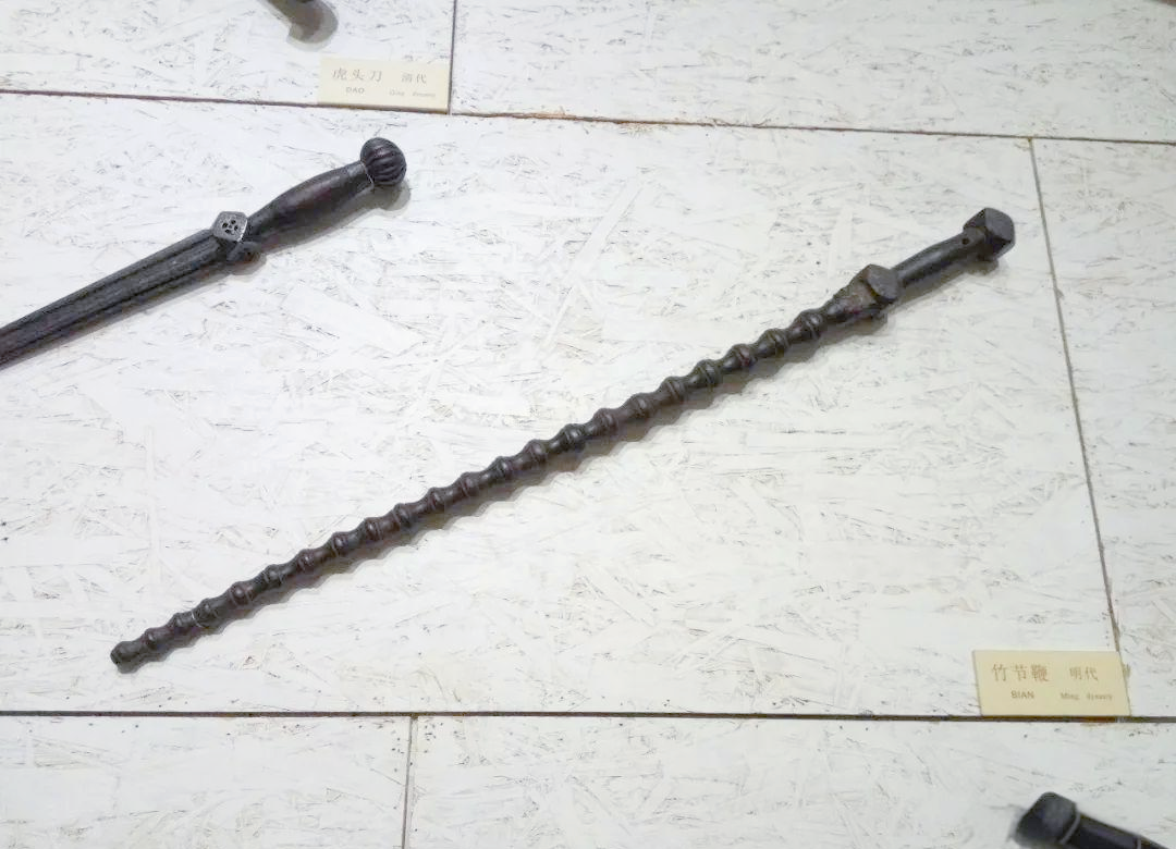 中国鞭的多样性与军事应用