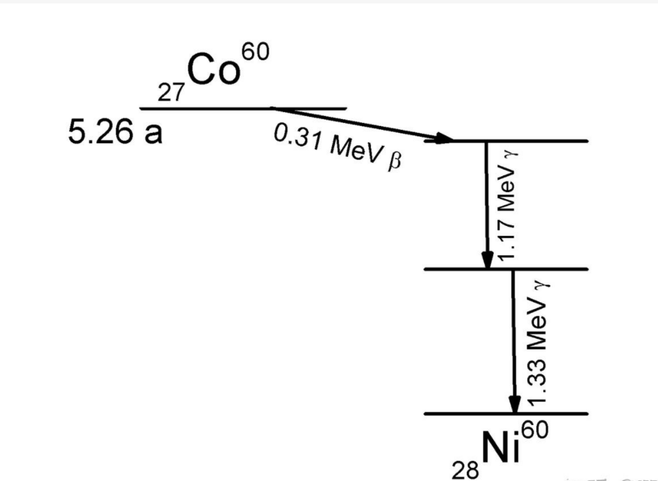 钴60旋转180度改变了衰变规律,杨振宁的伟大发现,让科学家害怕