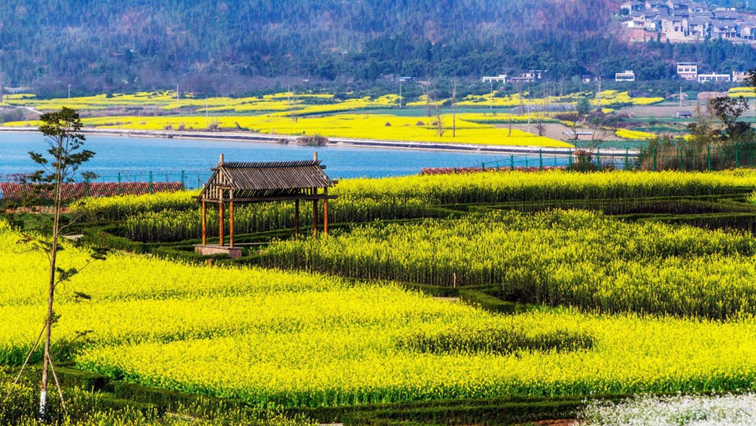 南充市高坪区旅游景点图片