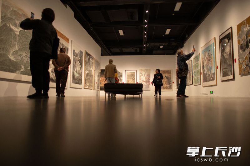第十四届全国美展长沙选送美术作品展开幕 160幅画作为时代立传